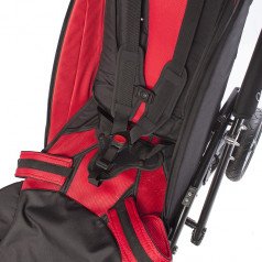 5-точечный ремень