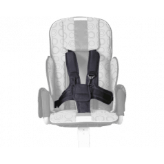 5-точечный ремень