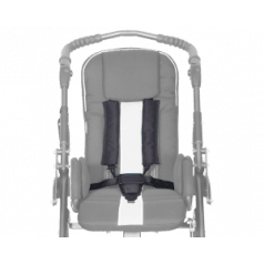 5-точечный ремень