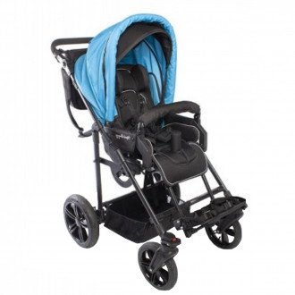Детская прогулочная коляска ДЦП Liwcare Modi Buggy на раме Rico в 